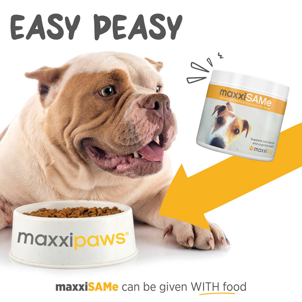 maxxiSAMe for dogs easy