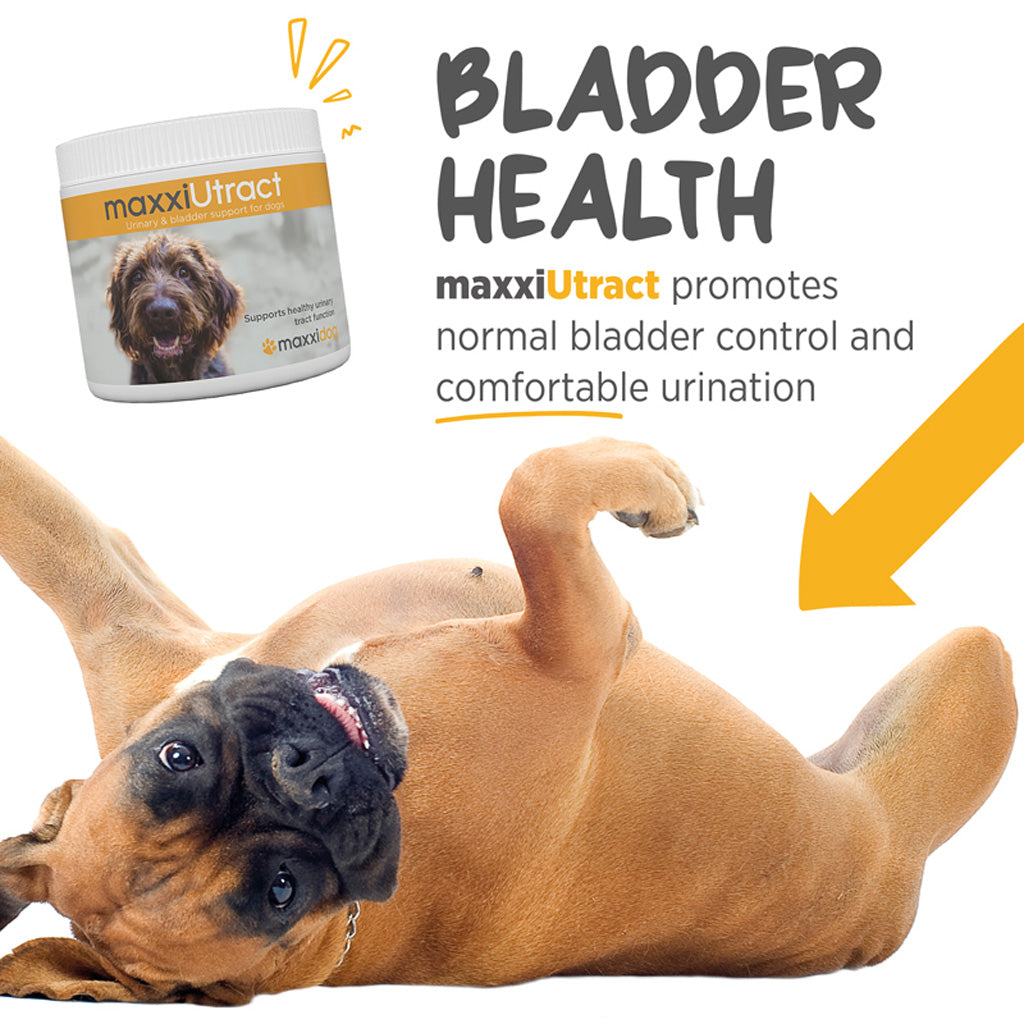 maxxiUtract for dogs bladder health