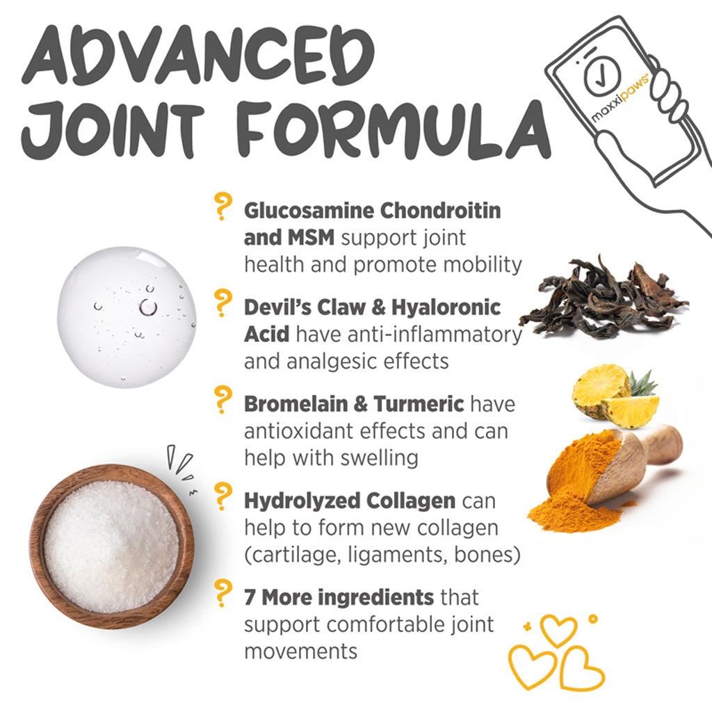 Maxxiflex+ hip & joint supplement for dogs advanced joint formula
