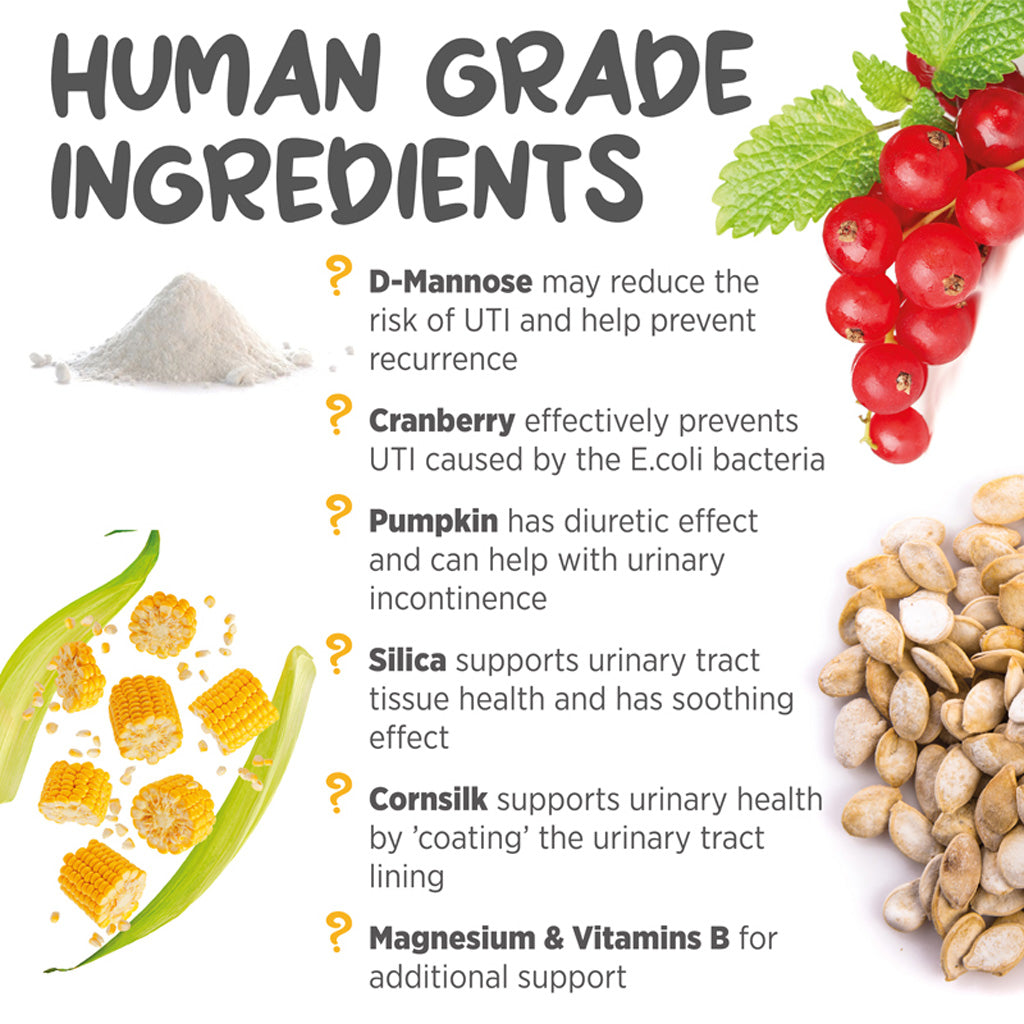 maxxiUtract for dogs human grade ingredients