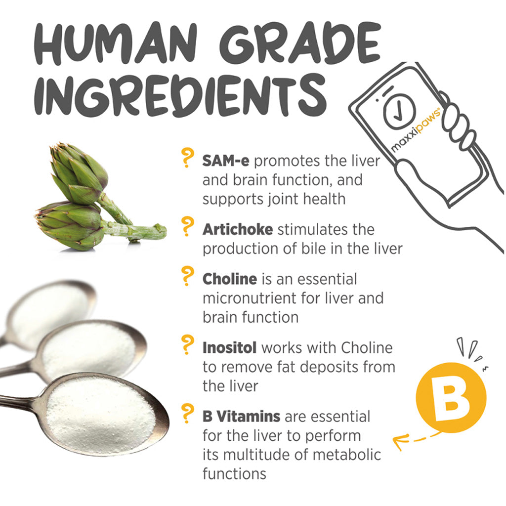 maxxiSAMe for dogs human grade ingredients