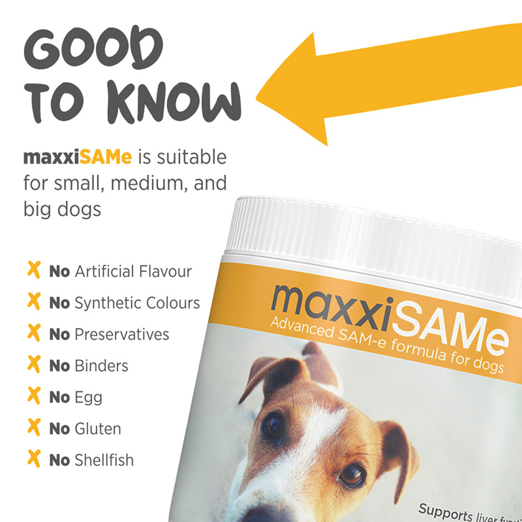 maxxiSAMe for dogs good to know