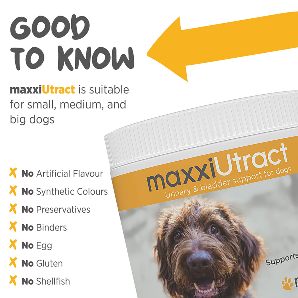 maxxiUtract for dogs good to know