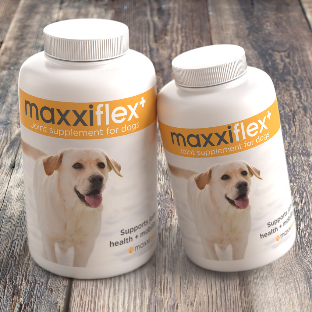 Maxxiflex+ hip & joint supplement for dogs range