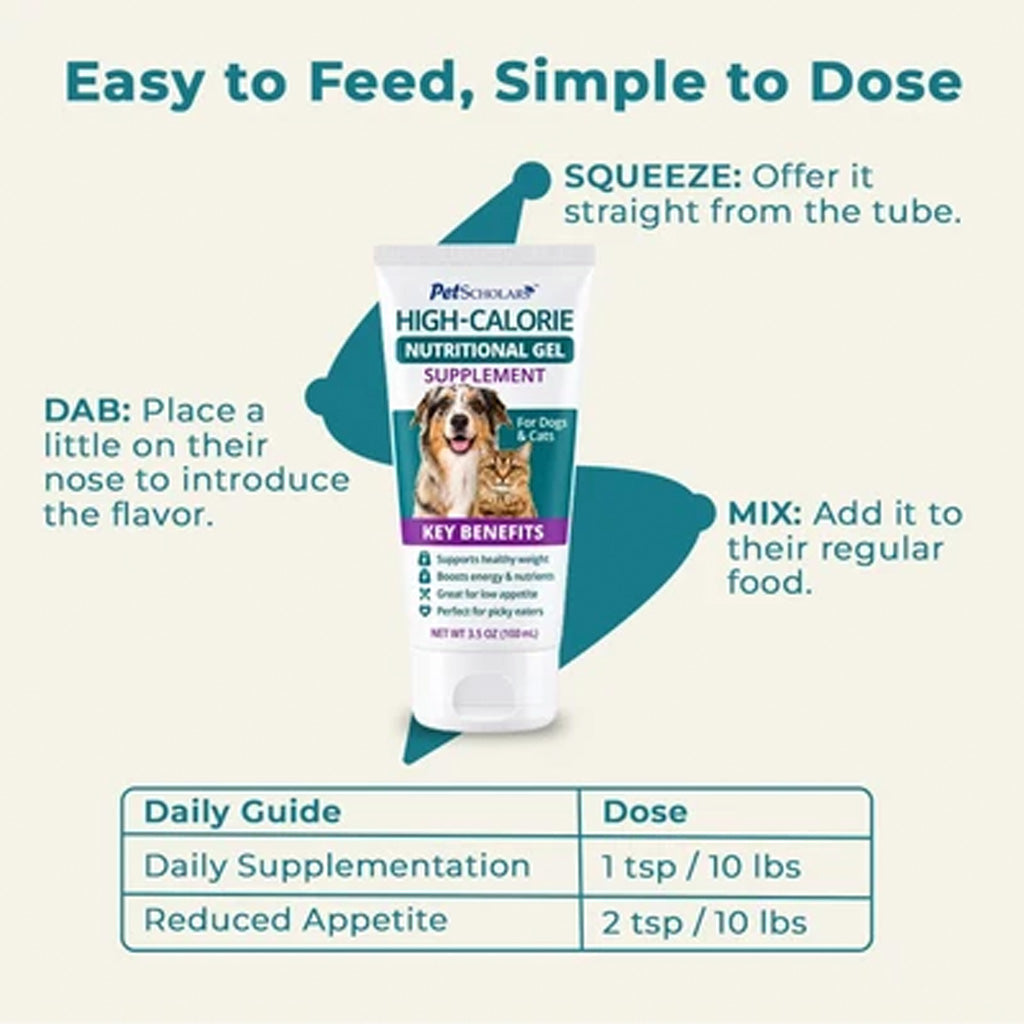 A product infographic for Pet Scholars High-Calorie Nutritional Gel supplement for dogs and cats. The image features a central tube of the white and purple gel, surrounded by teal callout shapes with instructions on how to dose and mix it, and a 'Daily Guide' table at the bottom detailing the dosage by weight.