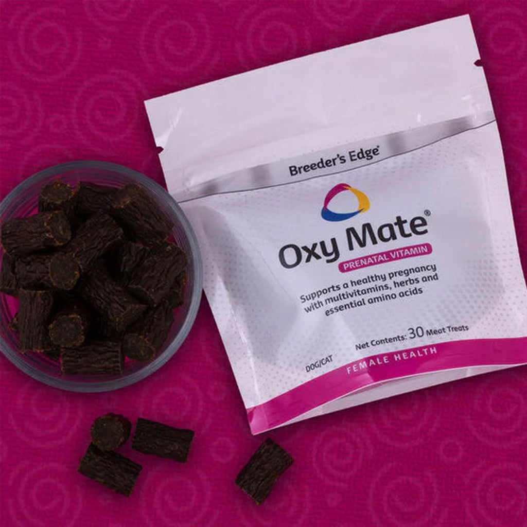 Oxy Mate prenatal vitamins package with treats on a pink background