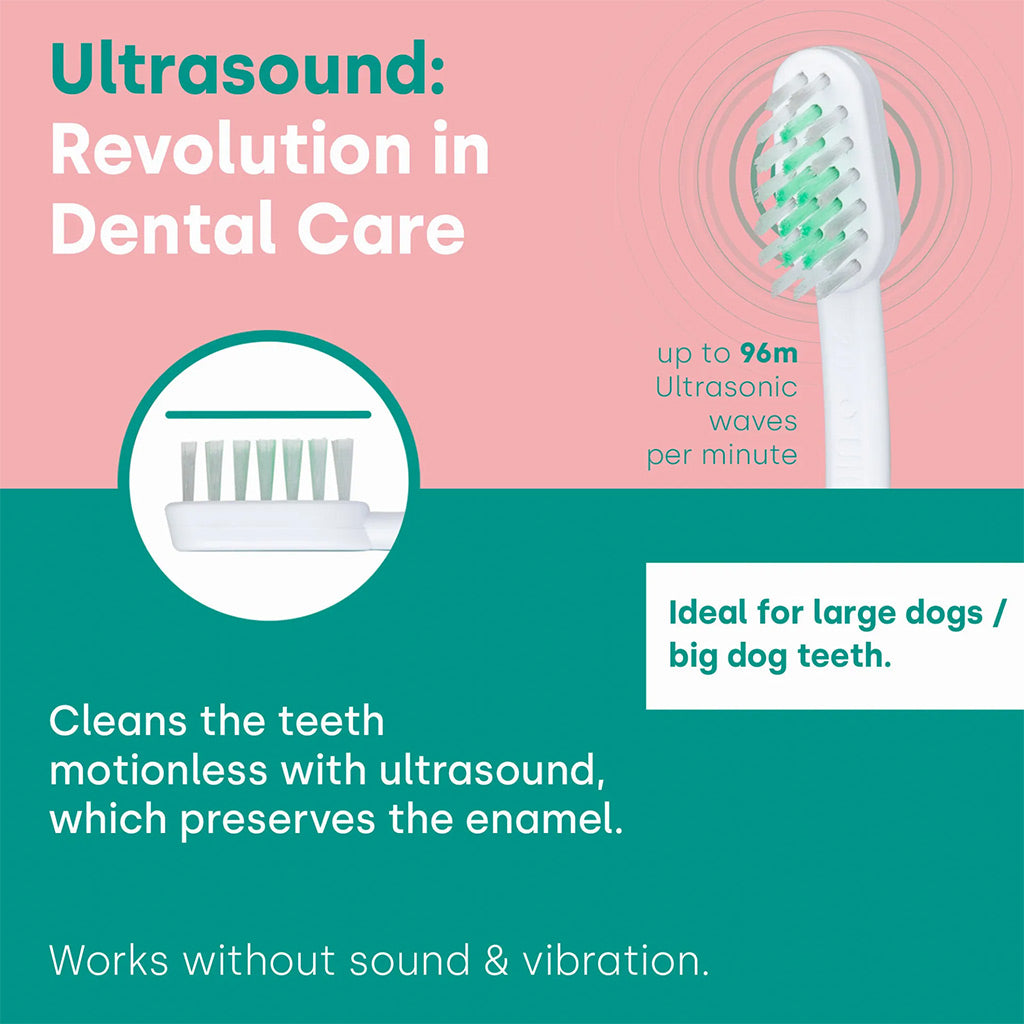 emmi-pet ultrasonic large A2 M2 toothbrush heads revolution in mental care
