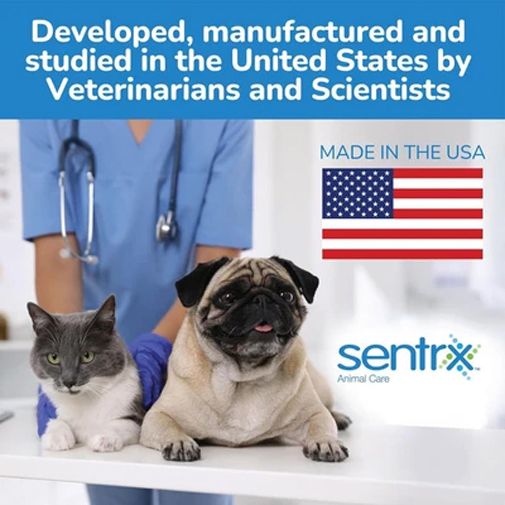 Sentrx Eye Lube Pro for Dogs & Cats | 20g | Available at Boss Pets UK