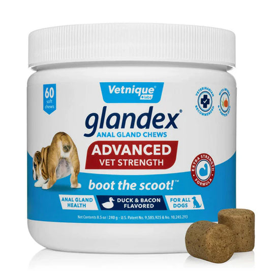 Glandex Advanced Vet Strength Chews for Dogs – Duck & Bacon 60 | UK Stock