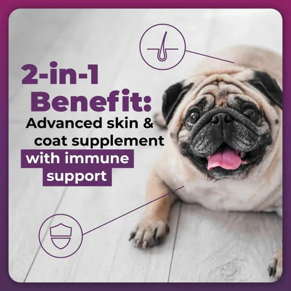 VetriScience Allergy & Itch Support – Advanced Allergy & Immune Support for Dogs | Available in UK Now benefits