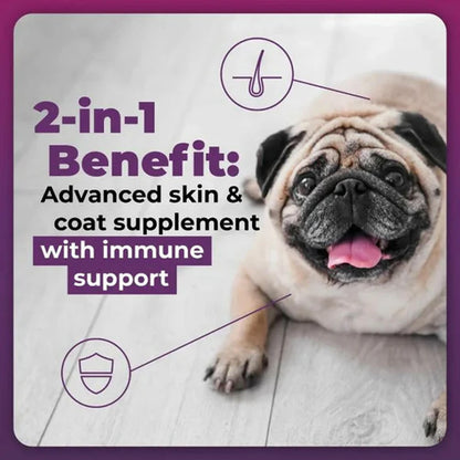 VetriScience Allergy & Itch Support – Advanced Allergy & Immune Support for Dogs | Available in UK Now benefits