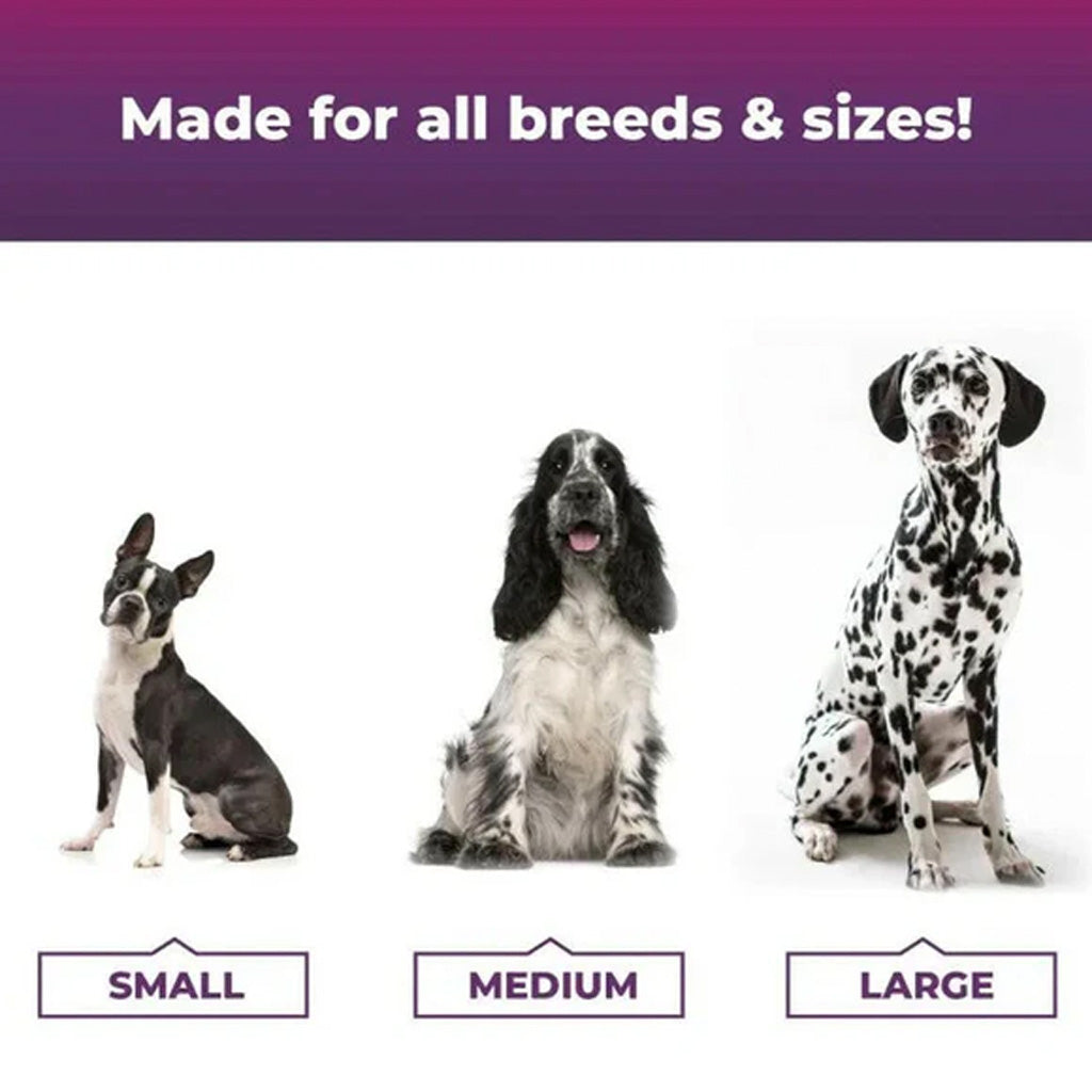 VetriScience Allergy & Itch Support – Advanced Allergy & Immune Support for Dogs | Available in UK Now all breeds