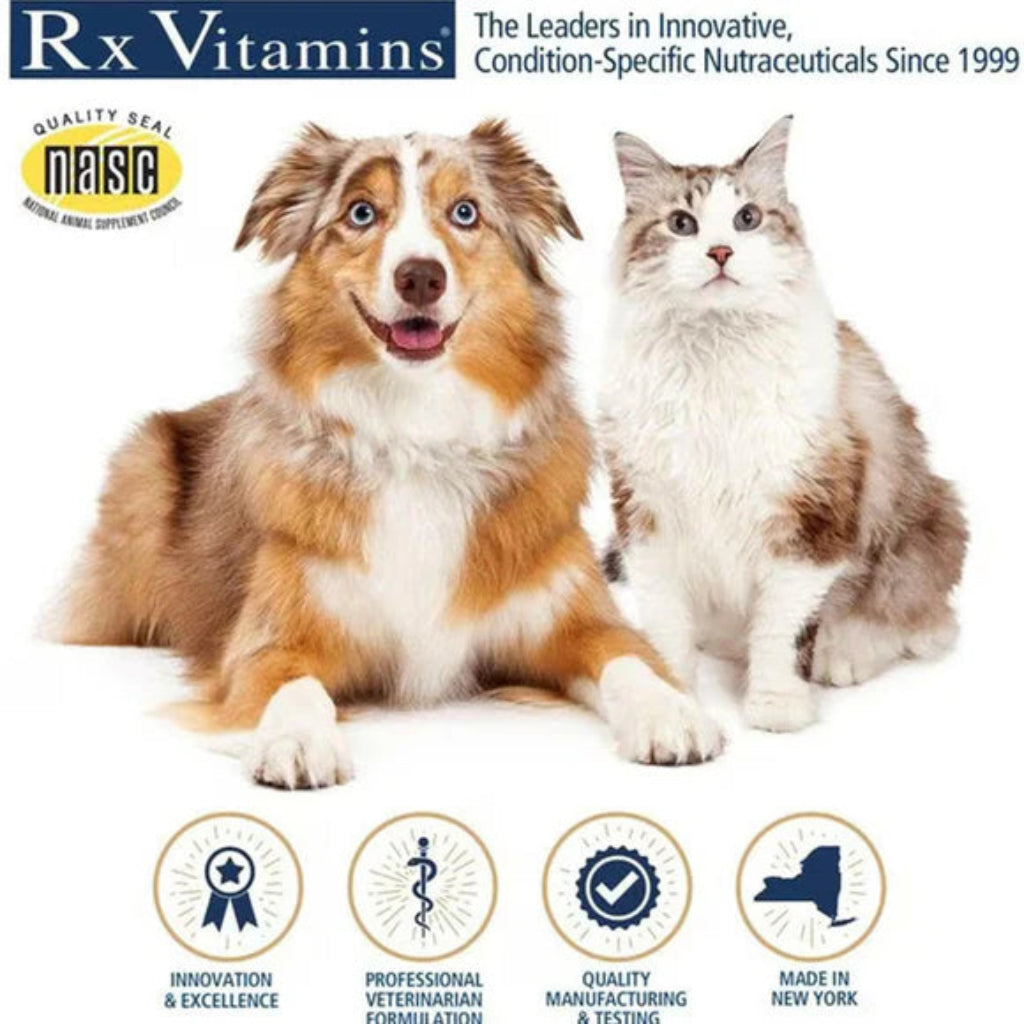 Dog and cat sitting together with RX Vitamins branding and features listed.