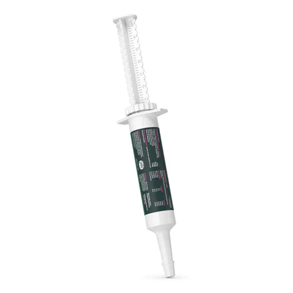 White dental syringe with a green label on a white background