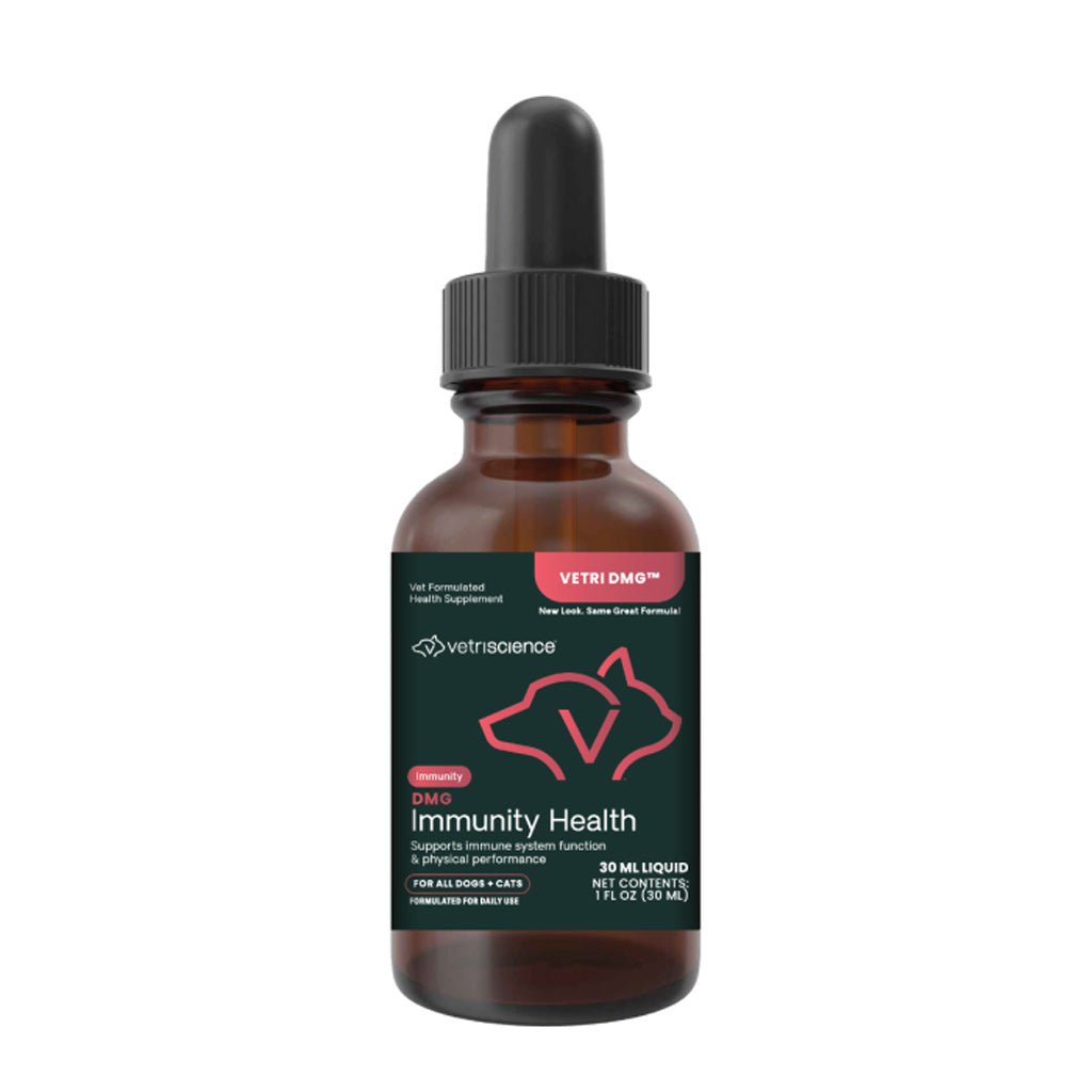 VetriScience Vetri DMG Liquid Immune Supplement for Dogs & Cats – UK Stock