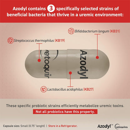 Azodyl small capsules for cats and dogs UK stock 3 strains of bacteria