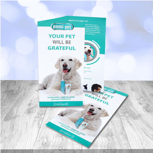Emmi-pet flyer information
