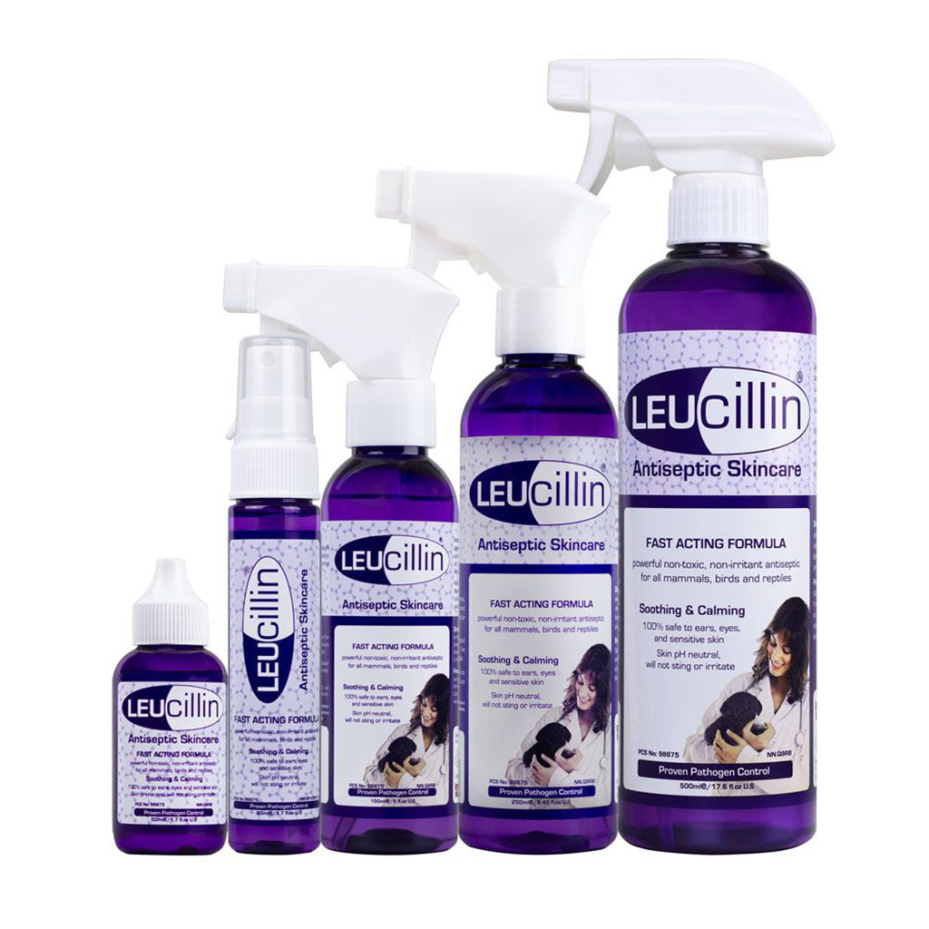Leucillin group picture all sizes