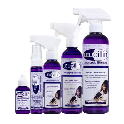 Leucillin group picture all sizes