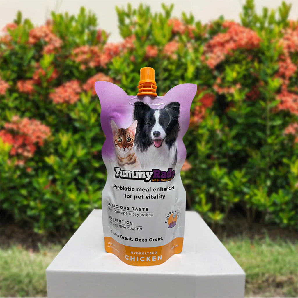 YummyRade meal enhancer Chicken Prebiotic Gravy Topper for Cats and Dogs