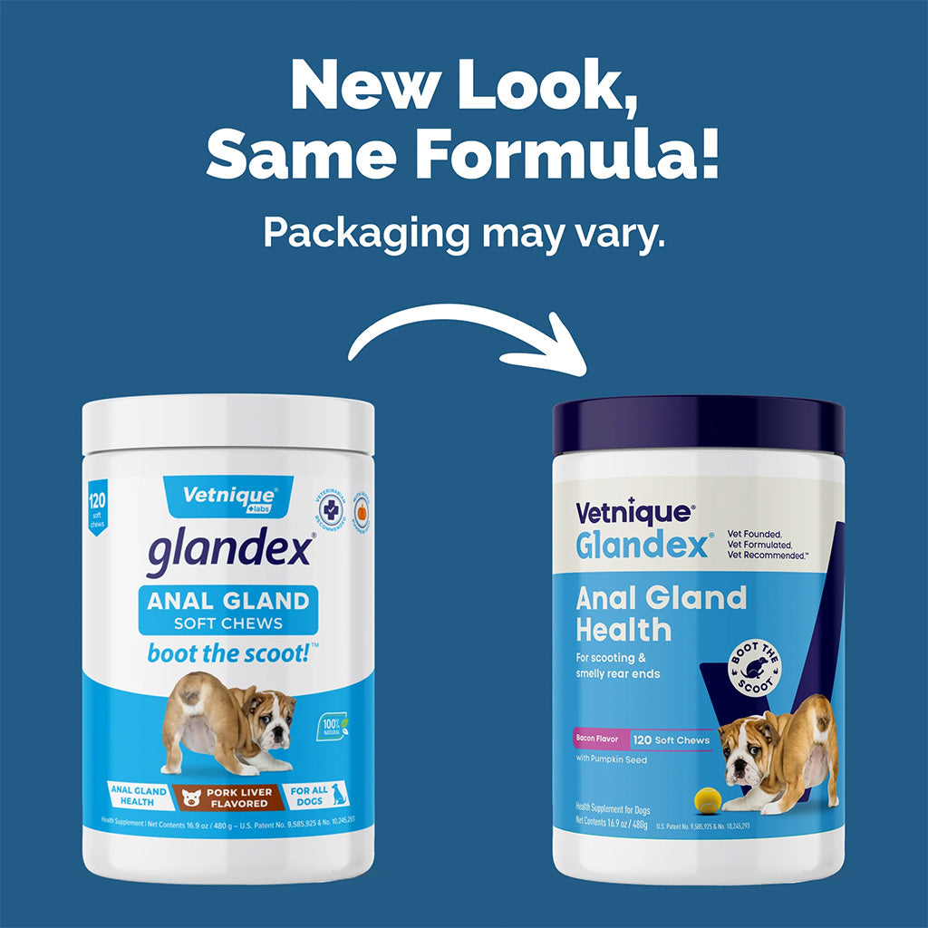 Two containers of Vetnique Glandex Anal Gland Health for dogs on a blue background with text about new packaging.