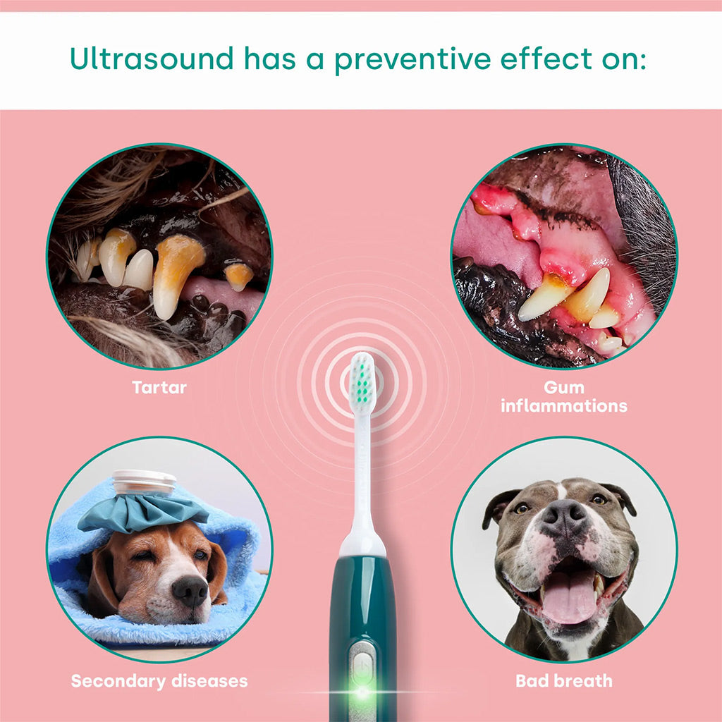 emmi-pet basic set version 1.0 preventative effect
