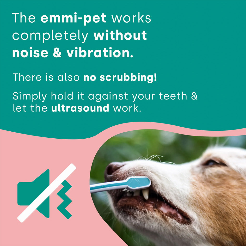 emmi-pet without noise & vibration image