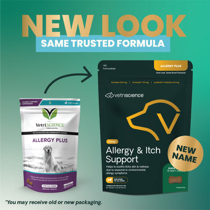 VetriScience Allergy Plus now Allergy & Itch Support – Advanced Allergy & Immune Support for Dogs | Available in UK Now packaging change