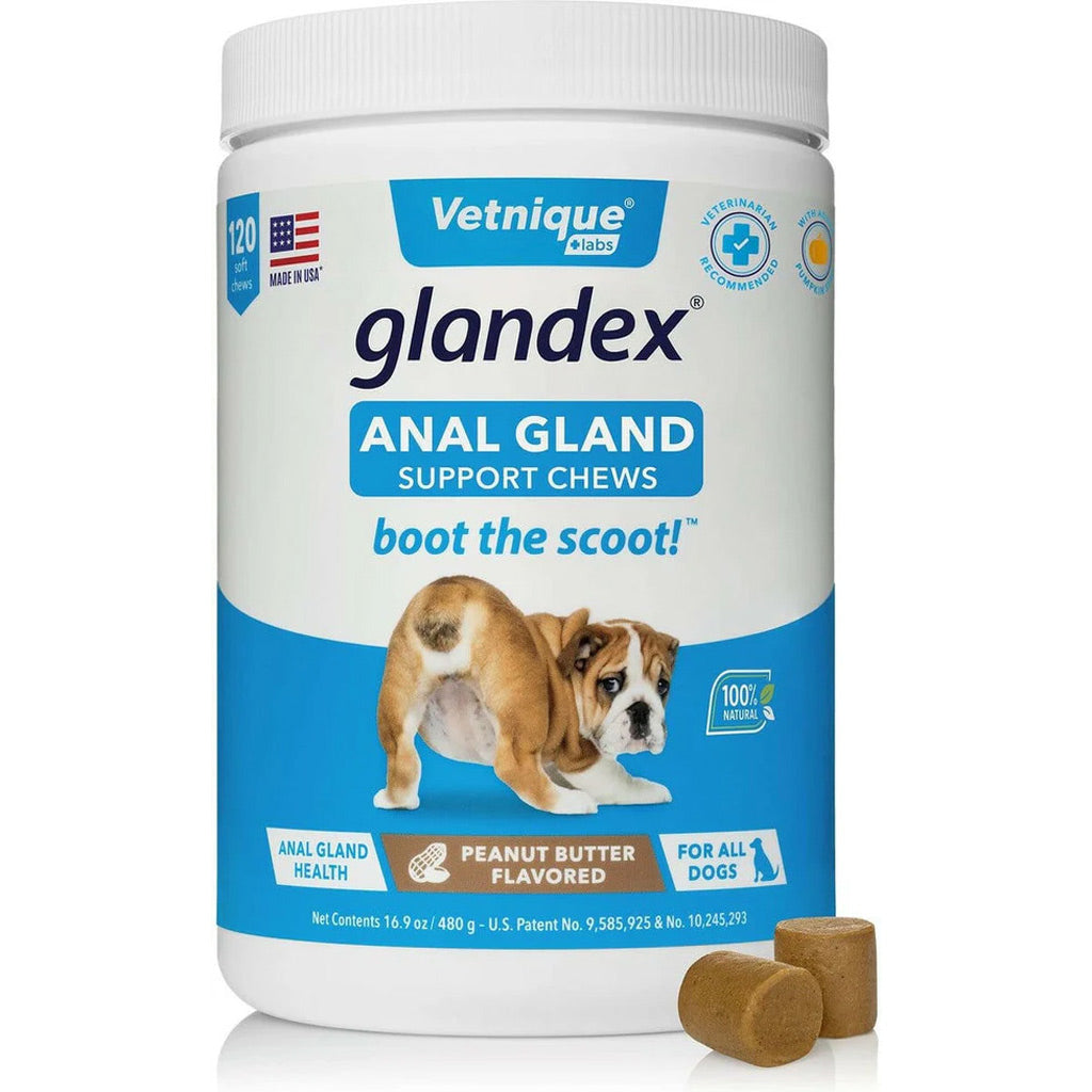 Glandex Anal Gland Support Peanut Butter Soft Chews for Dogs 120