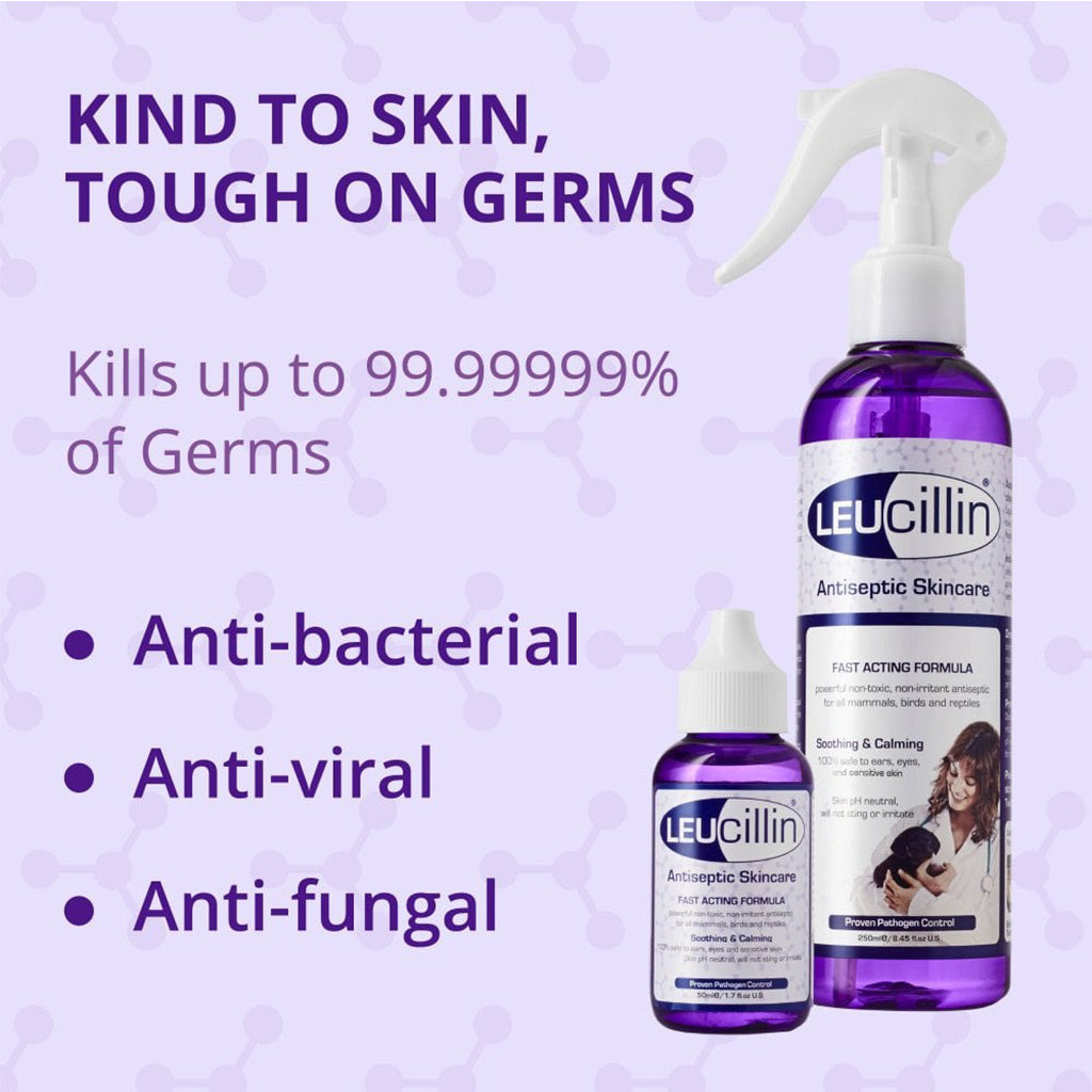 Leucillin anti-bacterial anti-viral anti-fungal