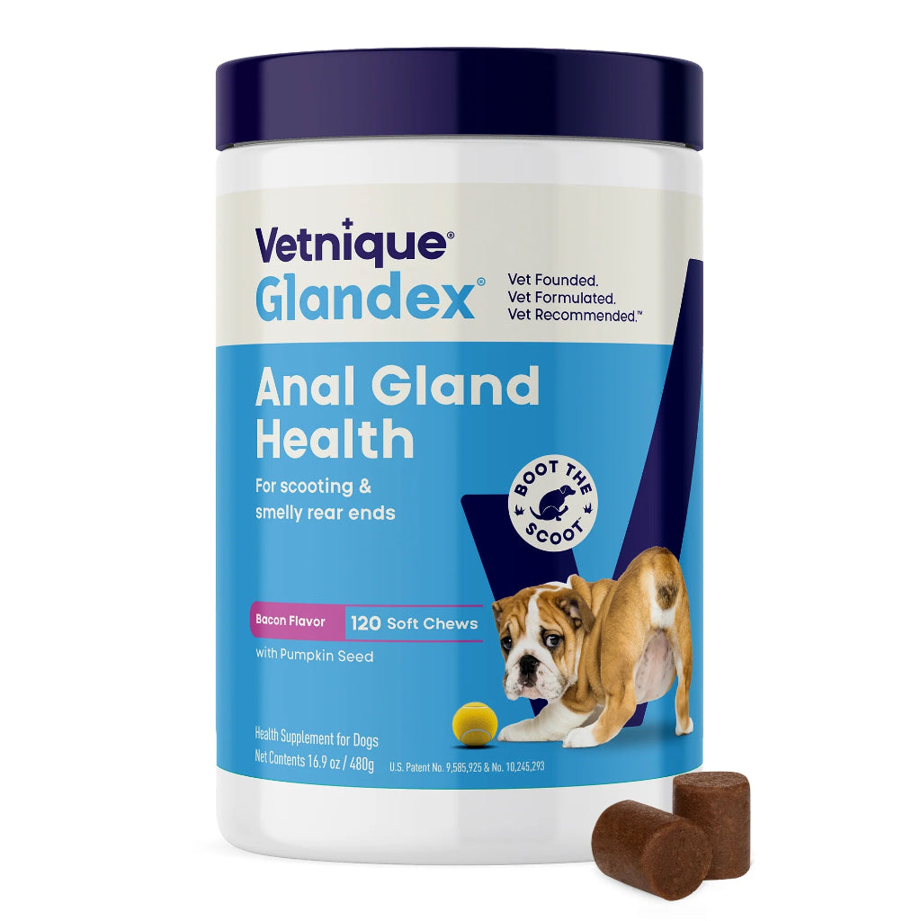 Vetnique Glandex Anal Gland Health supplement for dogs on a white background