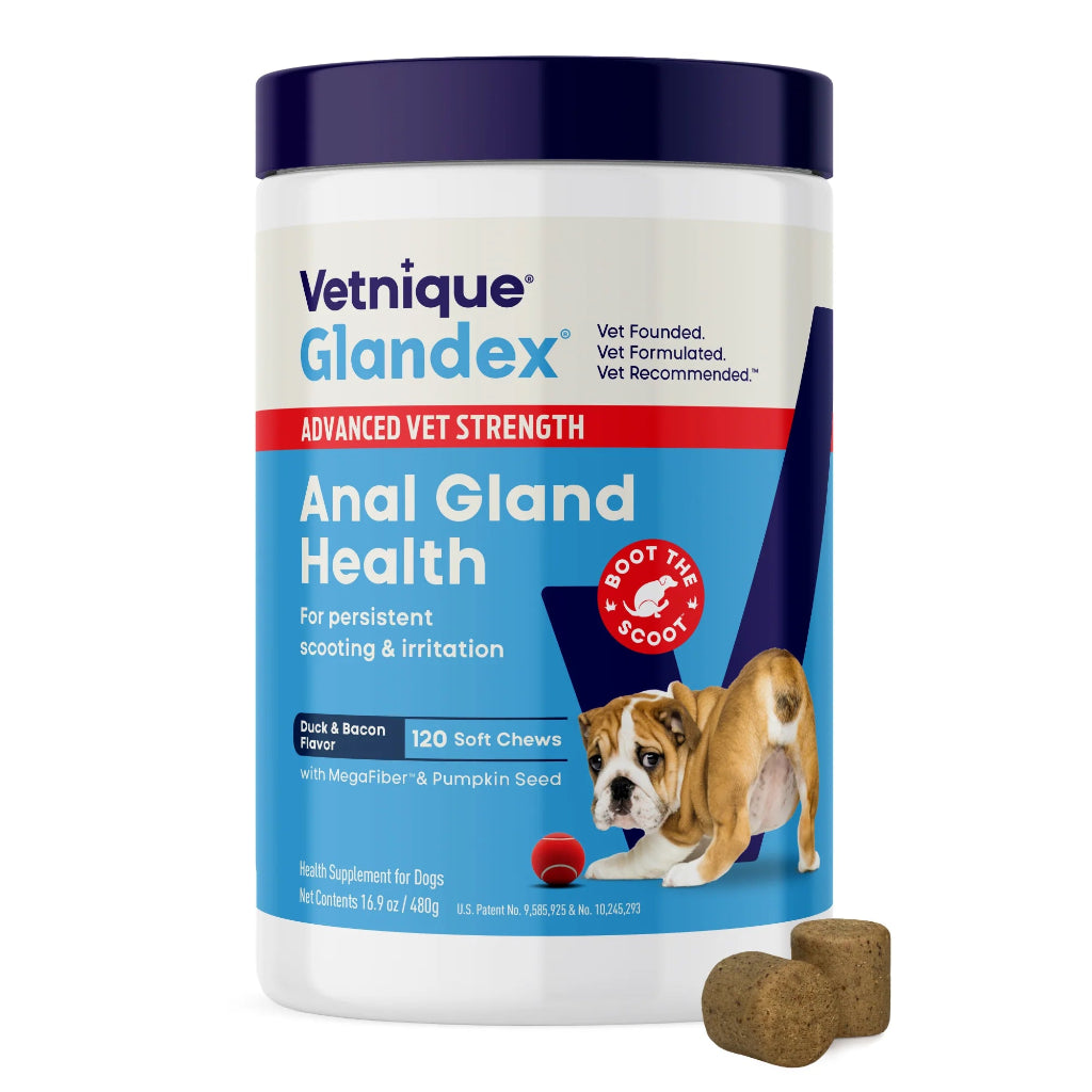 Vetnique Glandex Anal Gland Health supplement for dogs on a white background