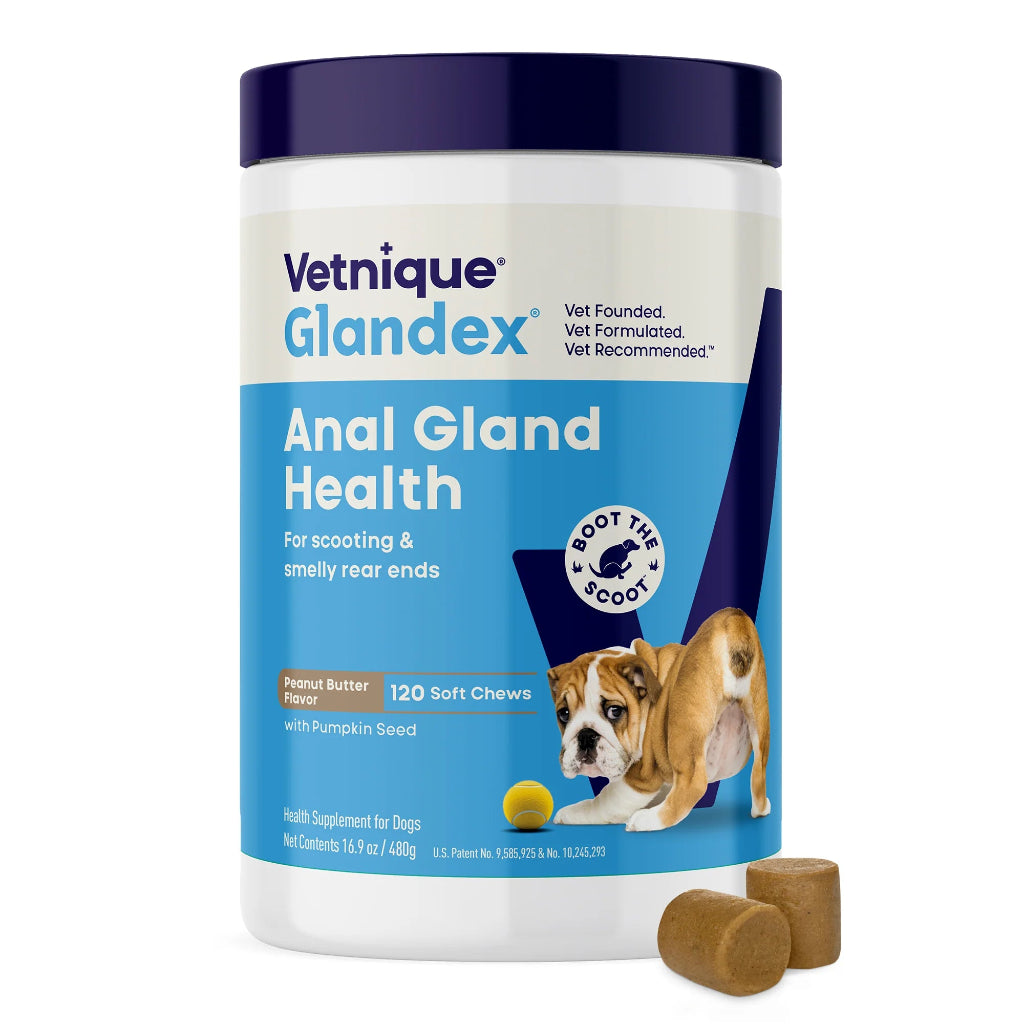 Vetnique Glandex Anal Gland Health supplement for dogs with a blue and white container.