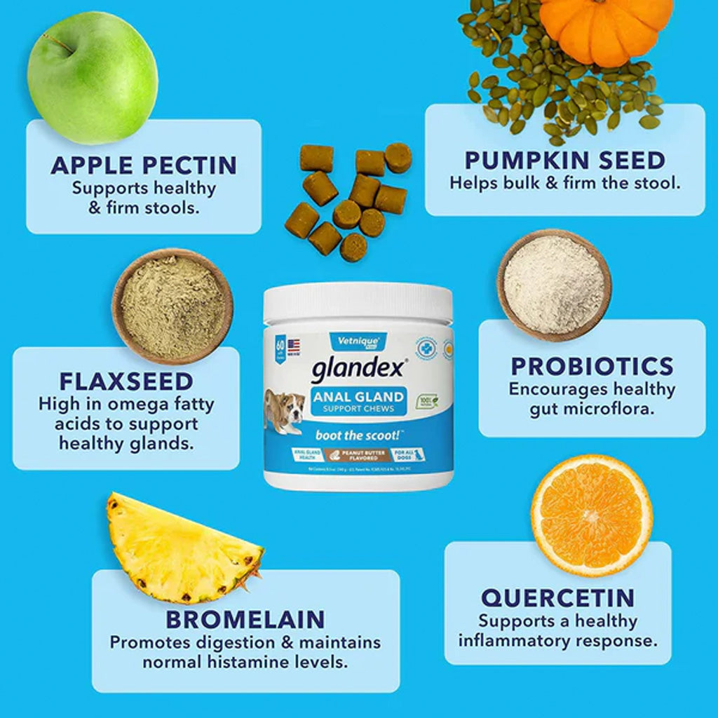Glandex Anal Gland Support Pork Liver Soft Chews for Dogs
