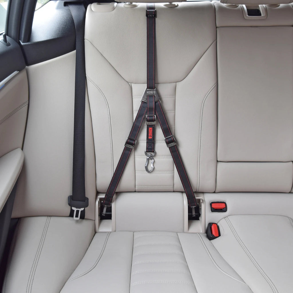 Car seat with a safety harness installed in the backseat