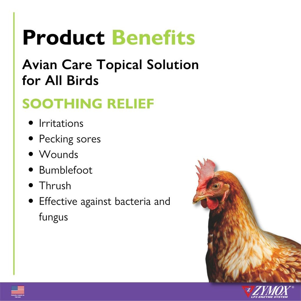 ZYMOX® Avian Care Topical Solution For All Birds Benefits – Skin & Plumage Care | UK