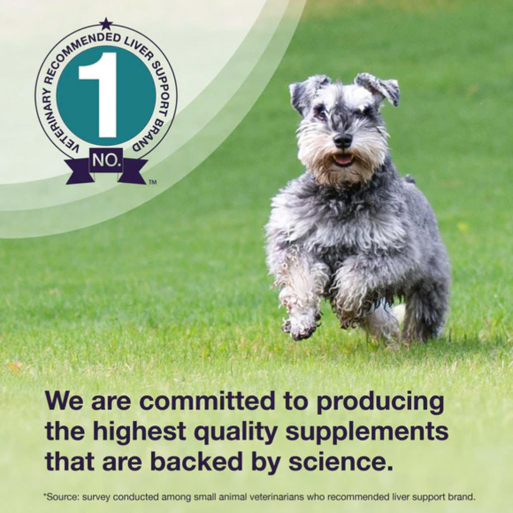 Denamarin Liver Health Supplements for Dogs – Support Healthy Liver Function | USA Made | Available in UK Now