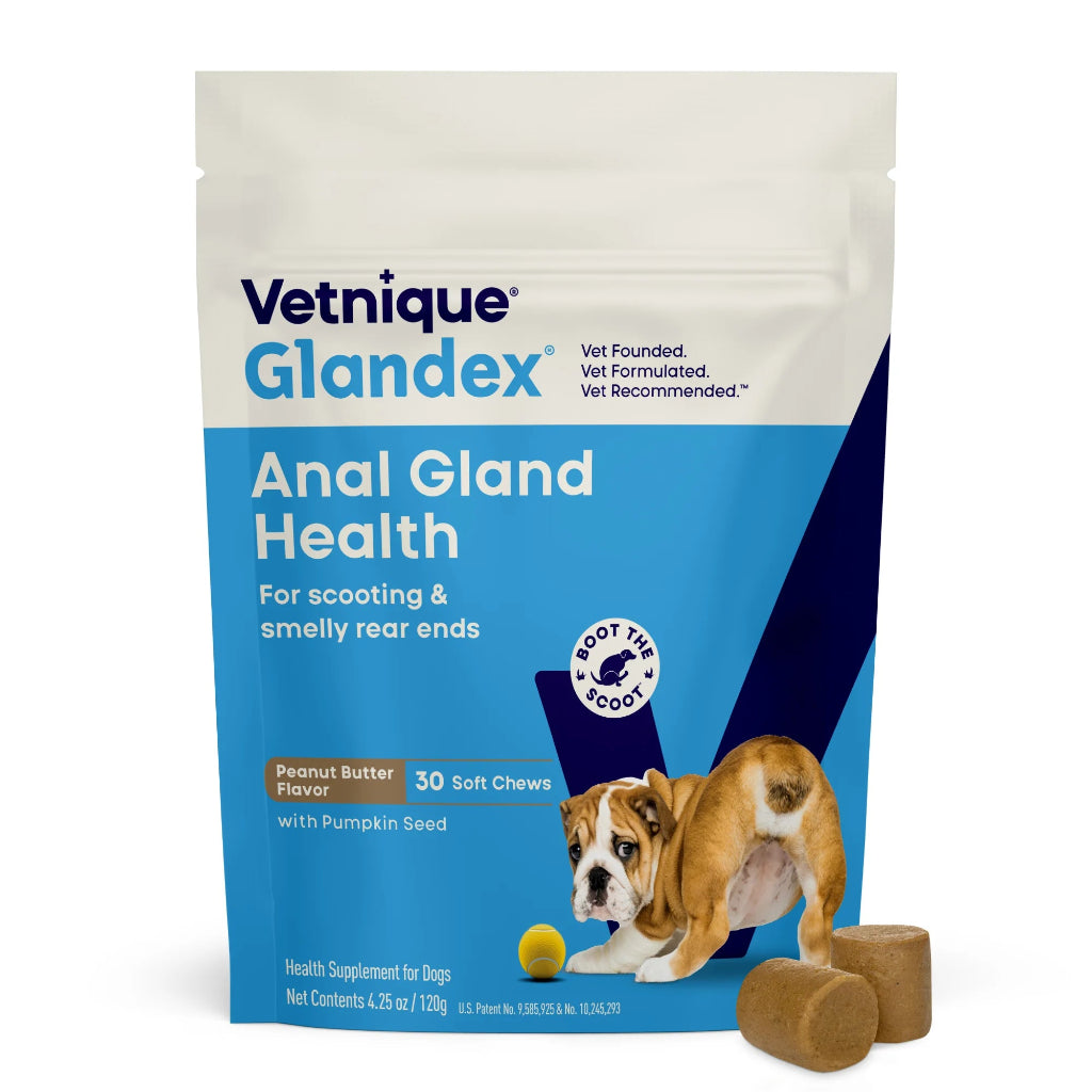 Vetnique Glandex Anal Gland Health supplement packaging for dogs on a white background