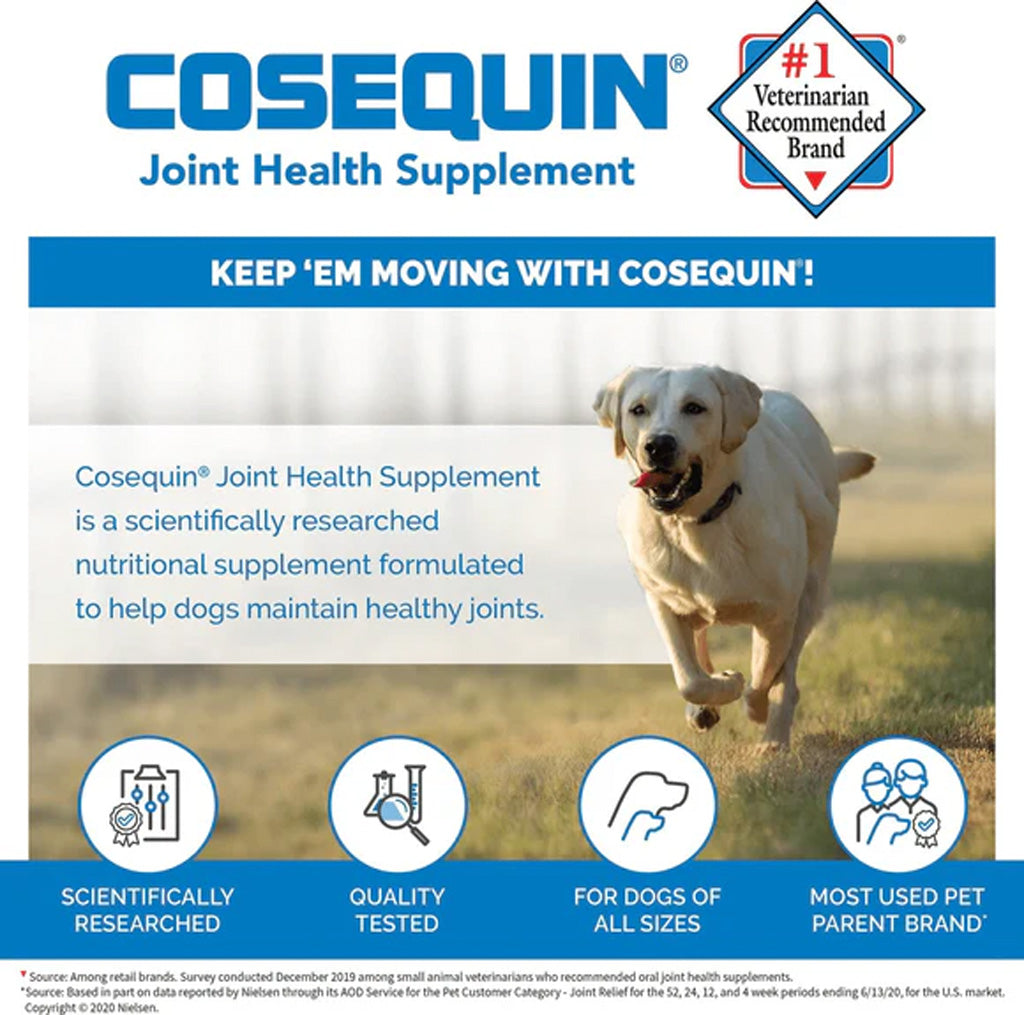 Nutramax Cosequin Maximum Strength Joint Health Supplement Plus MSM & HA for Dogs – Advanced Joint Care | UK Stock