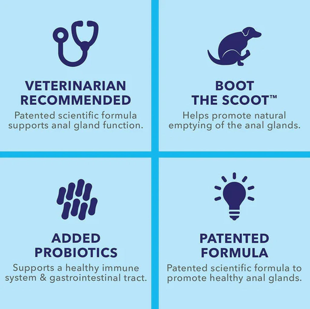Glandex Anal Gland Support Peanut Butter Soft Chews for Dogs
