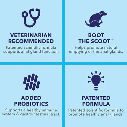 Glandex Anal Gland Support Peanut Butter Soft Chews for Dogs