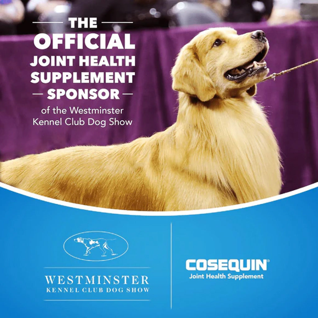 Nutramax Cosequin Maximum Strength Joint Health Supplement Plus MSM & HA for Dogs – Joint Care | UK Stock