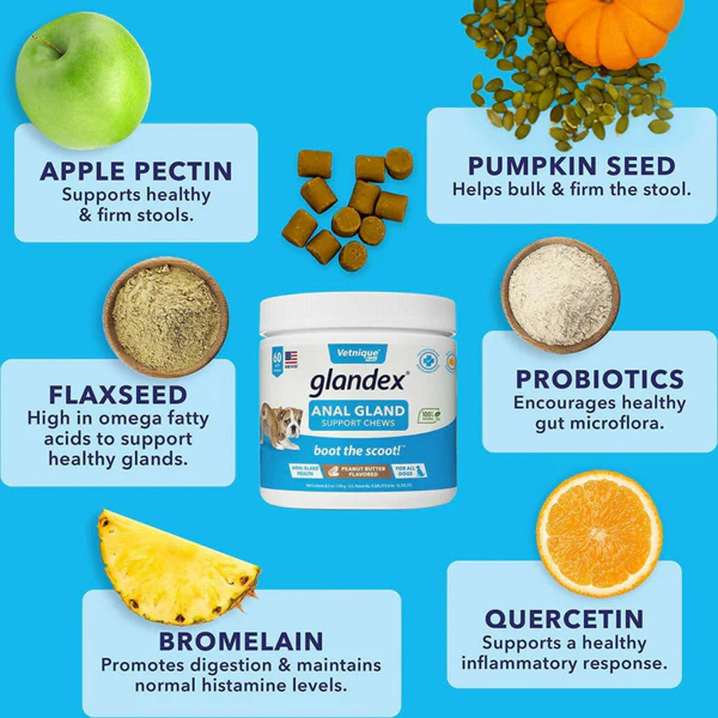 Glandex Anal Gland Support Peanut Butter Soft Chews for Dogs