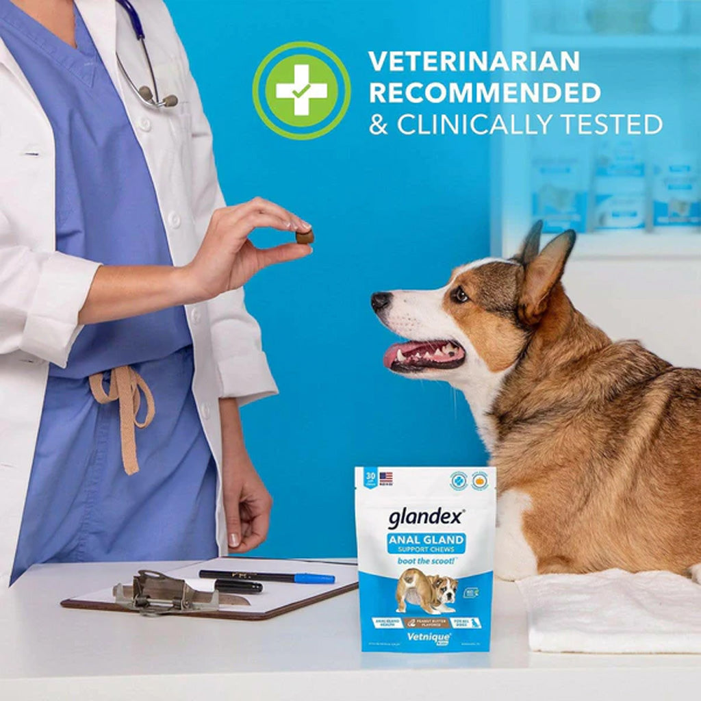 Glandex Anal Gland Support Peanut Butter Soft Chews for Dogs