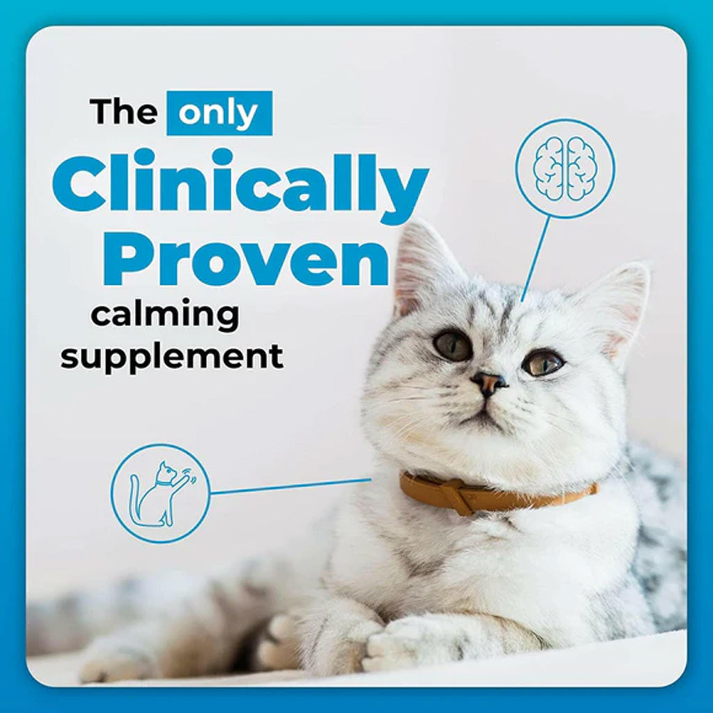 VetriScience Composure Calming Chews for Cats – Natural Stress & Anxiety Relief – UK Stock
