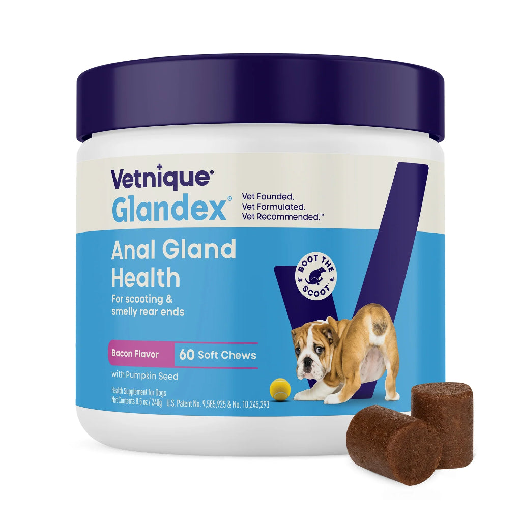 Vetnique Glandex Anal Gland Health product for dogs with packaging and chews on a white background