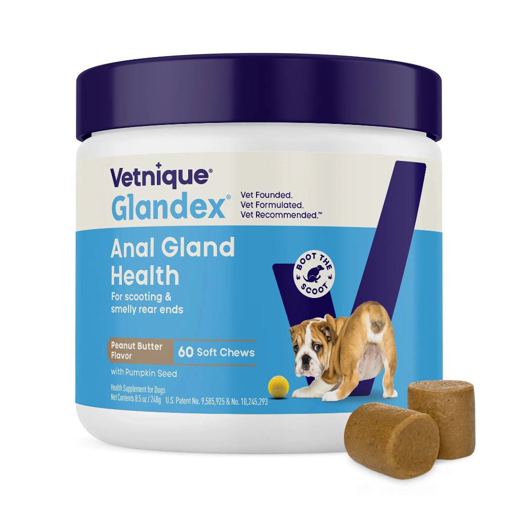 Vetnique Glandex Anal Gland Health product for dogs with a jar and soft chews on a white background
