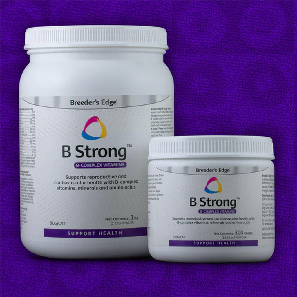 Two containers of Breeder's Edge B Strong B-complex vitamins on a purple background