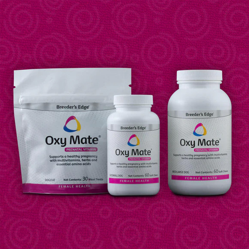 Oxy Mate prenatal vitamin packages on a purple background