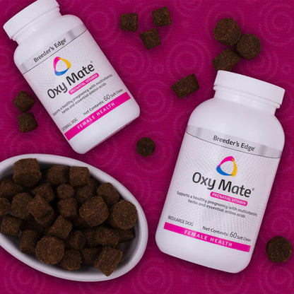 Two bottles of Oxy Mate on a pink background with dog treats.